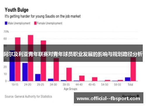 阿尔及利亚青年联赛对青年球员职业发展的影响与规划路径分析 阿尔及利亚青年联赛对青年球员职业发展的影响与规划路径分析