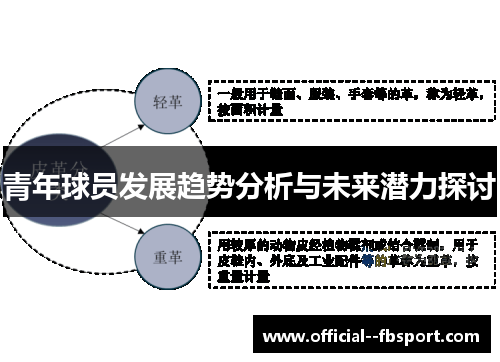青年球员发展趋势分析与未来潜力探讨